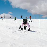 IMG_9006.jpg