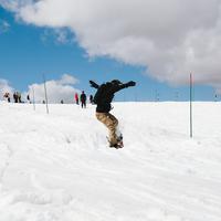 IMG_8973.jpg