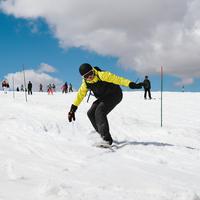 IMG_8990.jpg