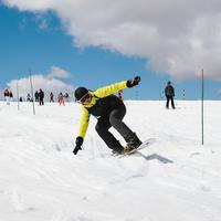 IMG_8988.jpg