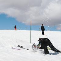 IMG_8963.jpg