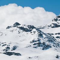 IMG_8938.jpg