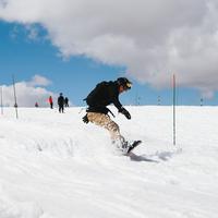 IMG_8975.jpg