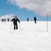 IMG_8956.jpg