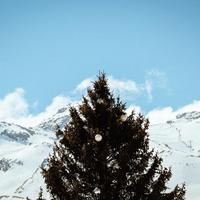 IMG_8942.jpg
