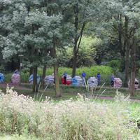 IMG_6434.JPG