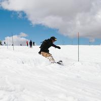 IMG_8974.jpg
